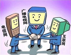 推进三网融合 广电电信双向进入的现状与展望